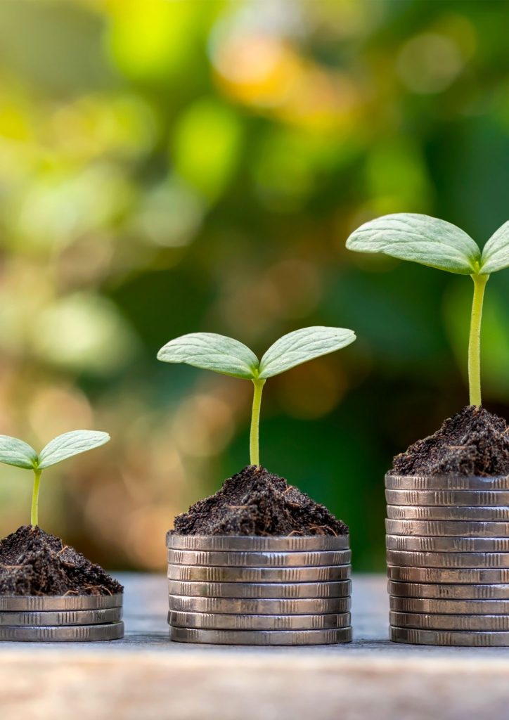 חוסן-כלכלי- תום ברנע